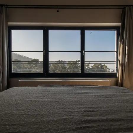 Appartement Pine Forest 1 Braşov