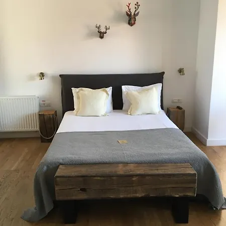 Pine Forest 1 Appartement Braşov