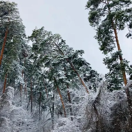 Pine Forest 1 Appartement